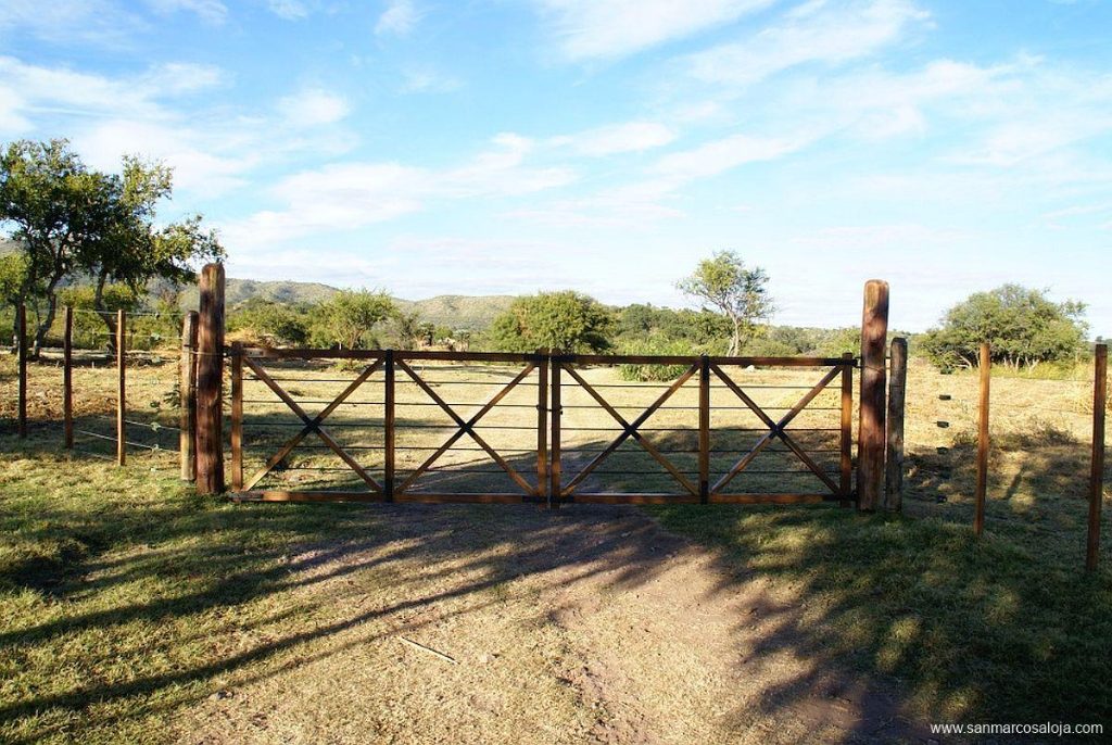 Foto de la galería
